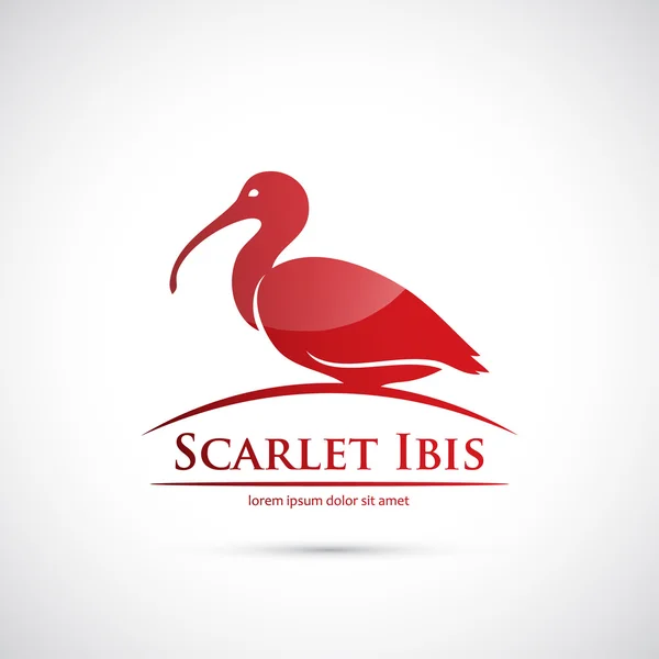 The scarlet ibis symbols, allegory and motifs | gradesaver